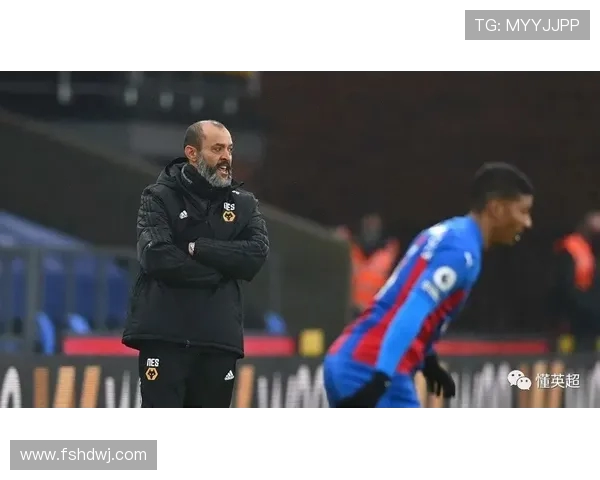 狼队主席施瑜指责政府冷落球场建设议会回应引发足坛关注讨论持续