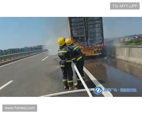 挖掘机森林防火隔离带快速开辟