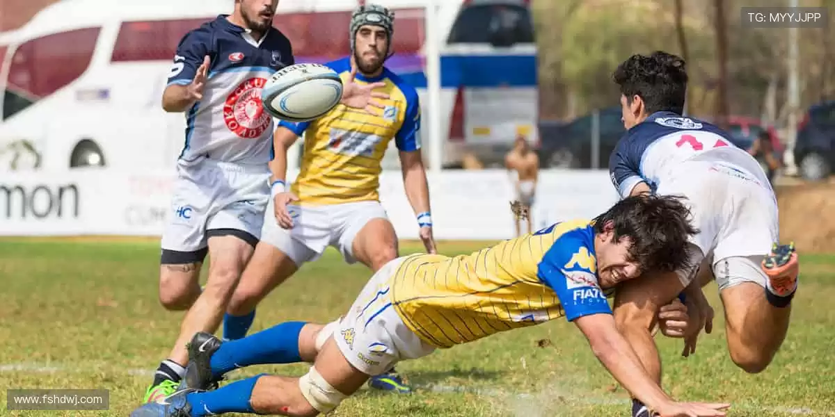 把汗水穿在身上,让热爱触手可及!🎁💪